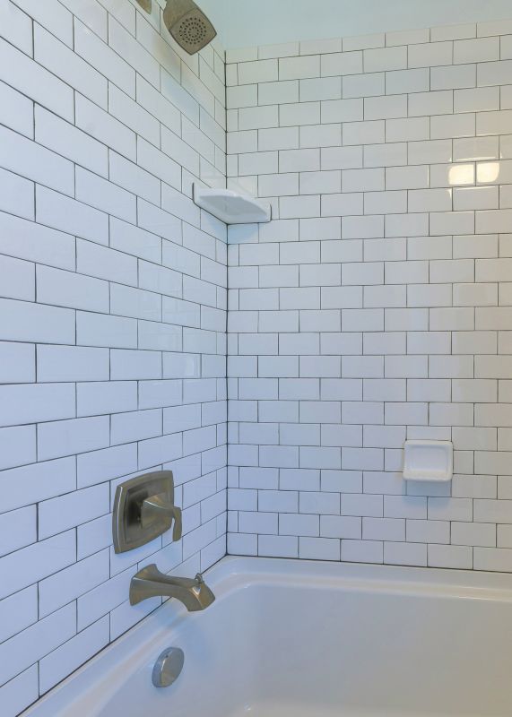 Top Rated Products for Bathroom Regrouting